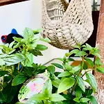 Apartment Bretterbutze #terrassenbutze *