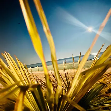 Appartement Bretterbutze Terrassenbutze