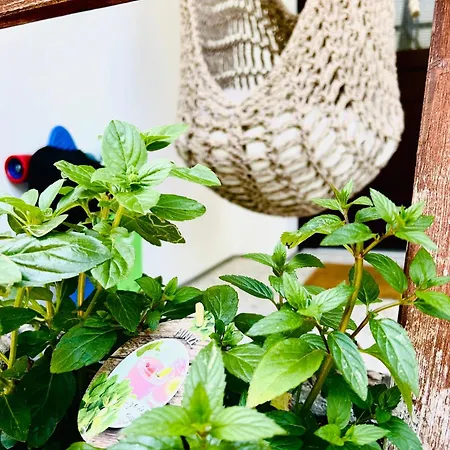 Апартаменты Bretterbutze Terrassenbutze *