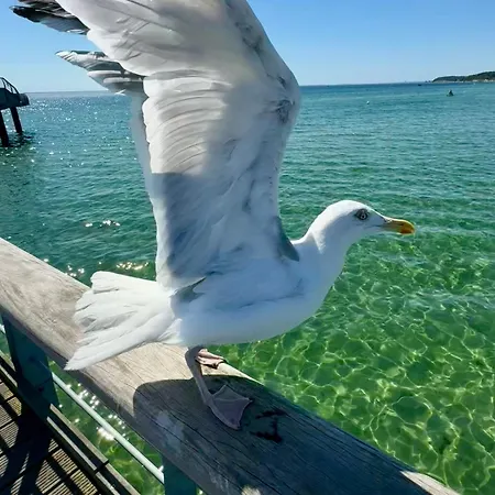 Bretterbutze Terrassenbutze Апартаменты *